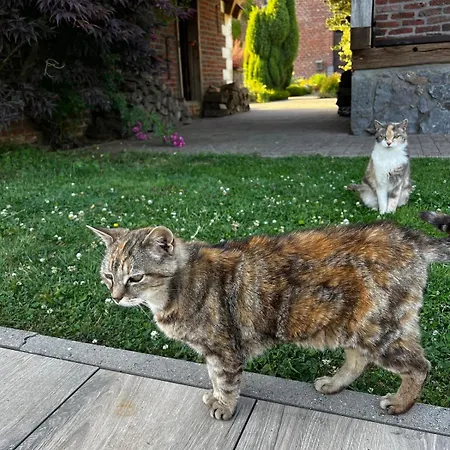 Propriété à La Campagne Casa vacanze *