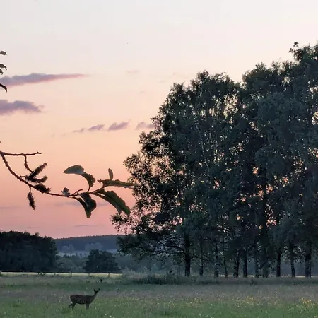 Propriete A La Campagne Σπίτι διακοπών *