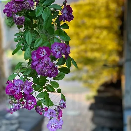 Propriete A La Campagne Σπίτι διακοπών *