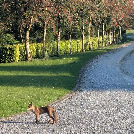 Propriete A La Campagne * Riezes