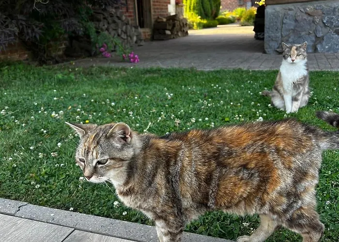 Propriete A La Campagne Holiday home *