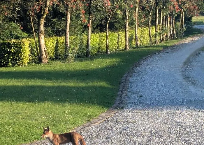 Propriété à La Campagne * Riezes